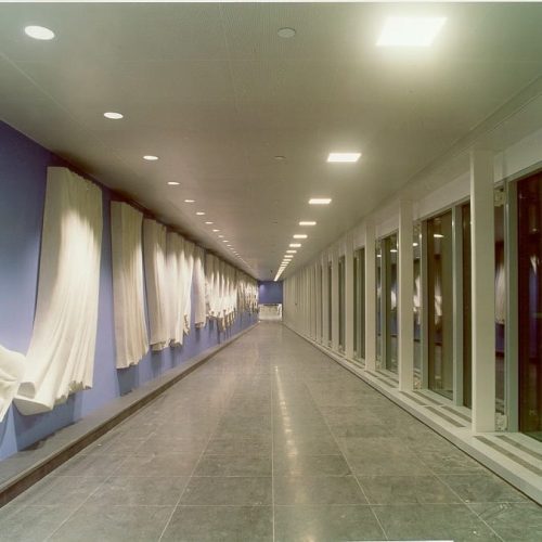 34728319_1898794166821946_2672626069466513408_n